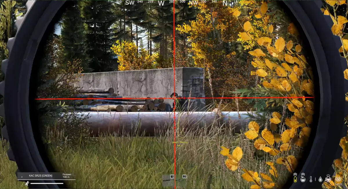 Avalanche для DayZ