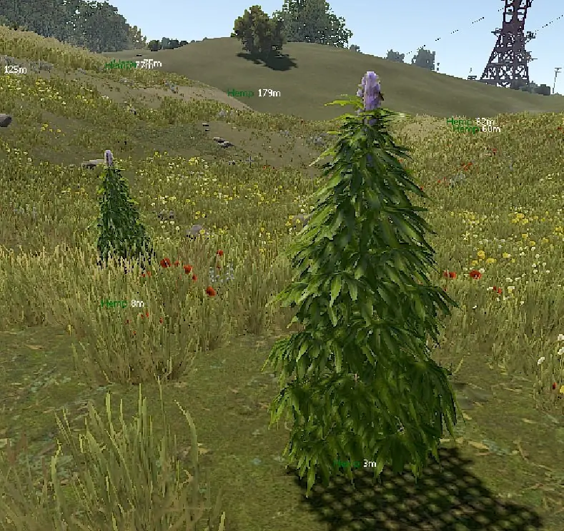 Elysian Rust DMA для Rust