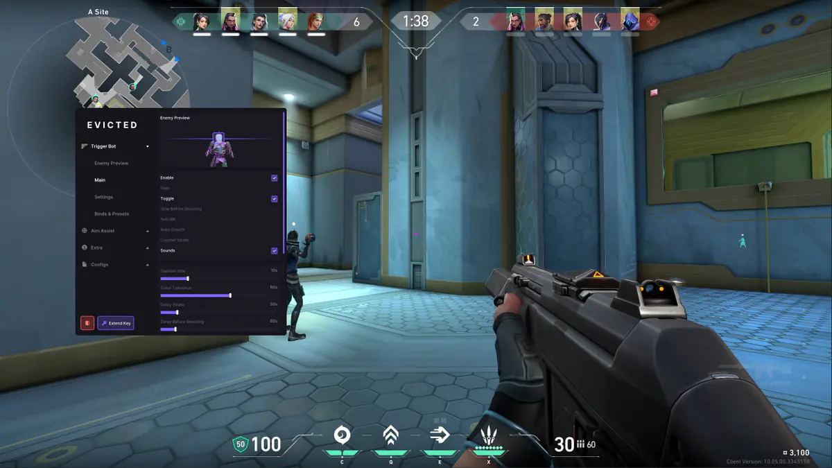 Evicted Trigger Bot для Valorant