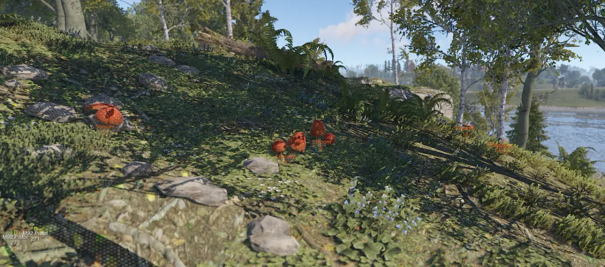 Nightfall Rust DMA для Rust