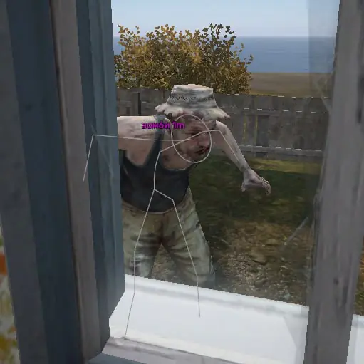 Simonni Pirate для DayZ